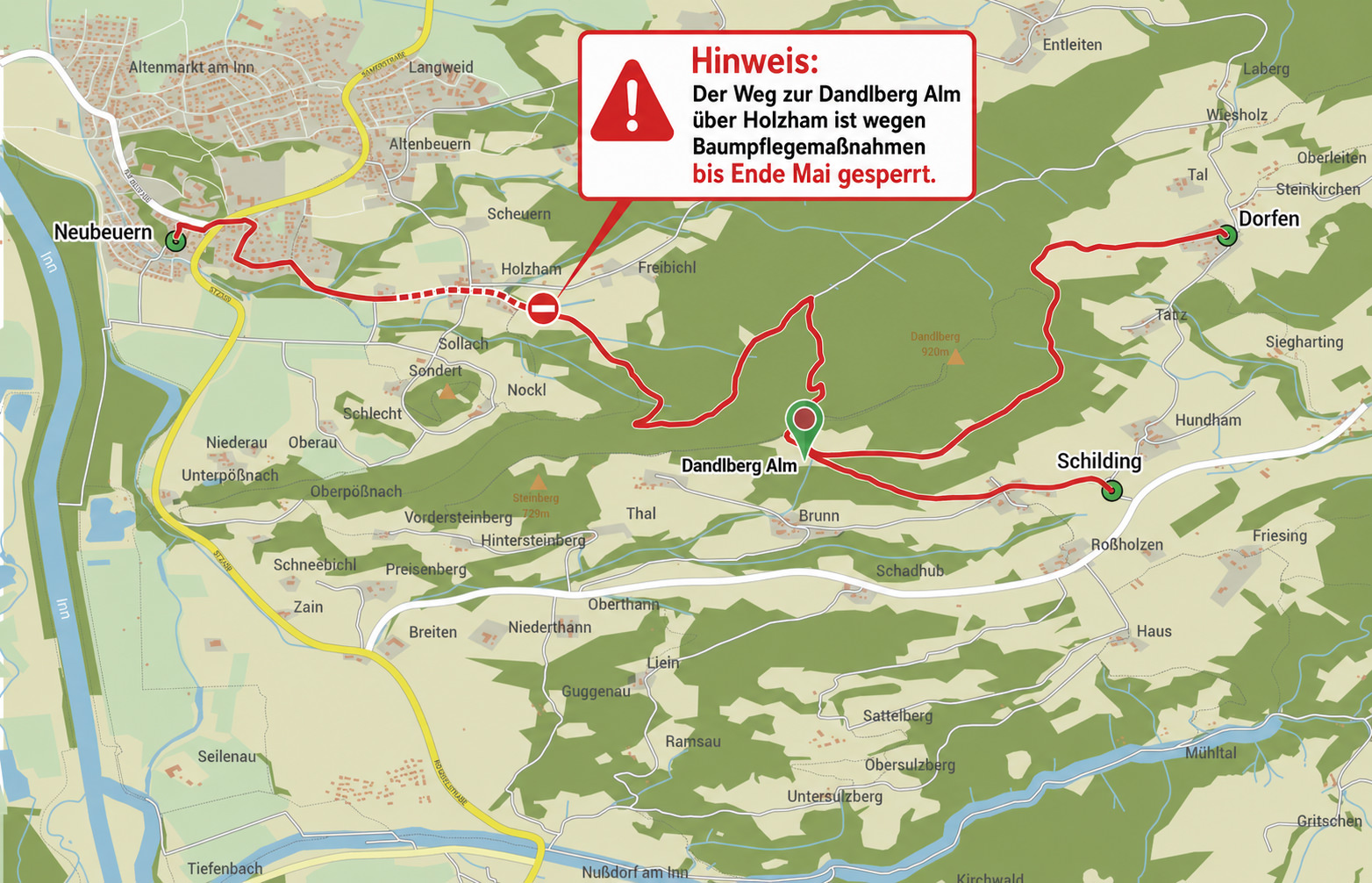 Baumpflegemaßnahmen